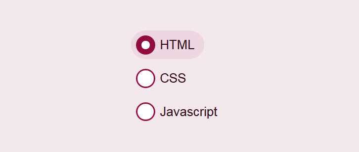 css3美化单选按钮点击选中动画特效 - 小萌资源网