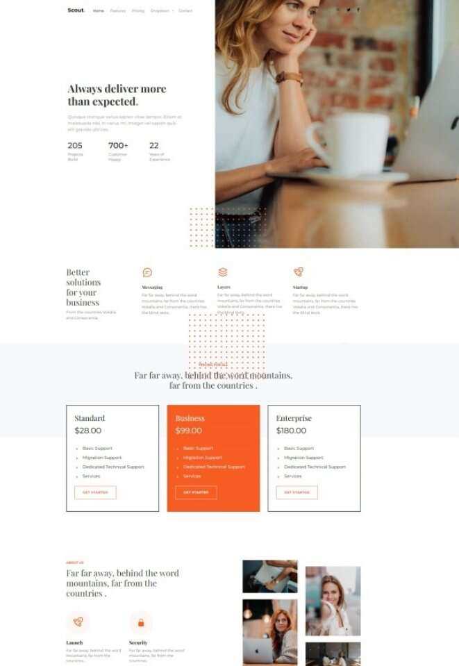 Bootstrap商务咨询服务公司网站HTML模板 - 小萌资源网
