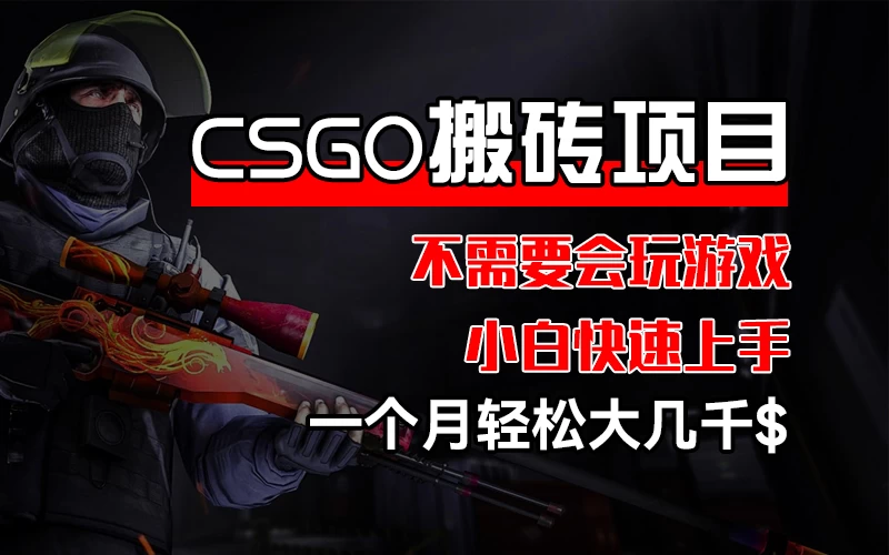 CSGO 装备搬砖项目，操作简单，不需要会玩游戏，小白也能快速上手，一个月轻松大几千 - 小萌资源网
