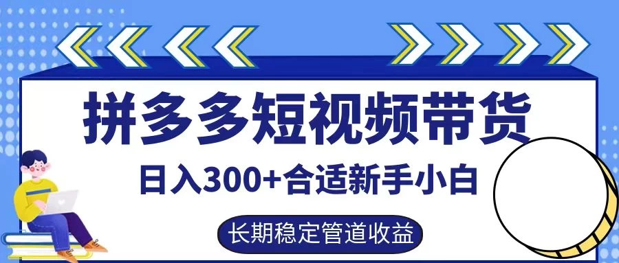 拼多多短视频带货日入300+保姆级实操账户展示 - 小萌资源网