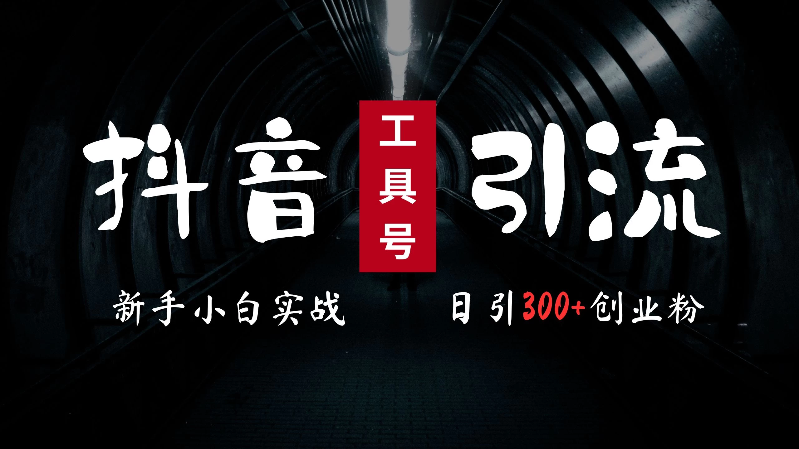 2024最新抖音工具号引流玩法，高效日引300+创业粉，当天变现5000+，小白也可成为实战高手 - 小萌资源网