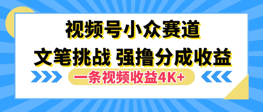 视频号小众赛道，文笔挑战，一条视频收益4K+ - 小萌资源网