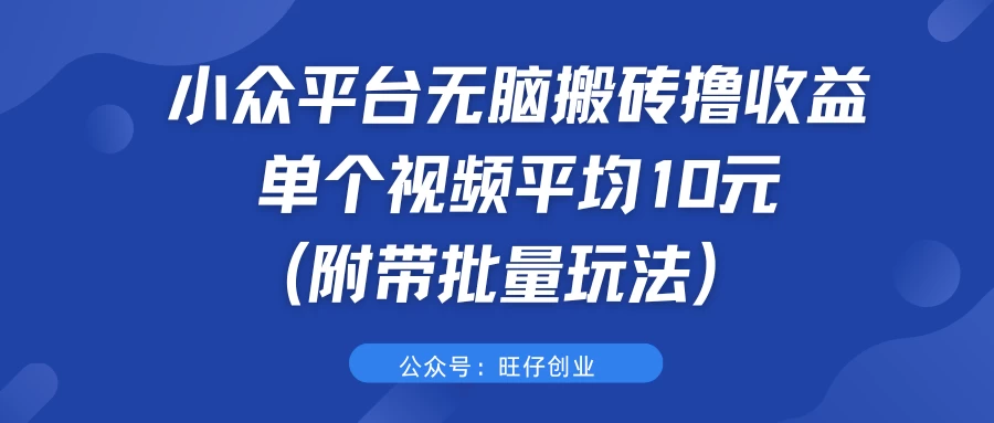 小众平台无脑搬砖撸收益，单个视频平均10元 (附带批量玩法） - 小萌资源网