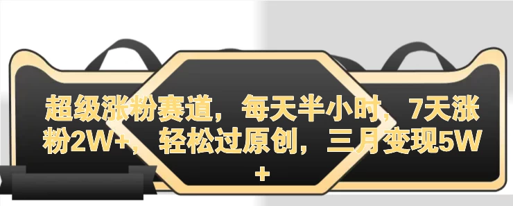 超级涨粉赛道，每天半小时，7天涨粉2W+，轻松过原创，三月变现5W+ - 小萌资源网