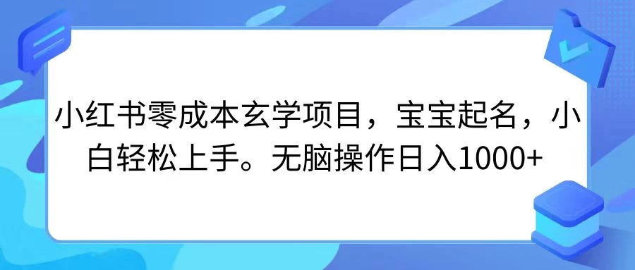 小红书零成本玄学项目，宝宝起名，小白轻松上手，无脑操作日入1000+ - 小萌资源网