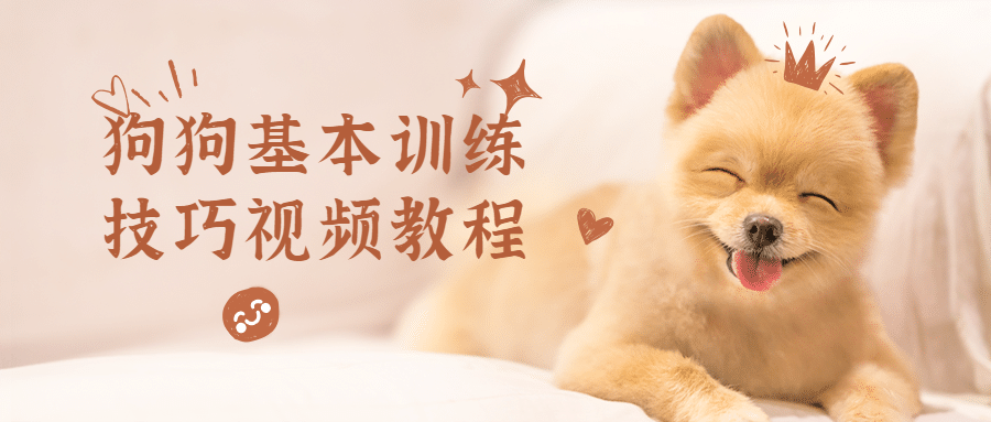 狗狗基本训练技巧视频教程 - 小萌资源网