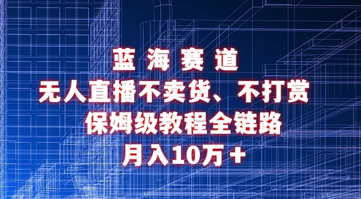 无人直播不卖货、不打赏保姆级教程全链路 月入10万＋ - 小萌资源网