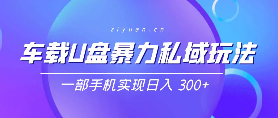 车载 U 盘暴力私域玩法：一部手机实现日入 300+ - 小萌资源网