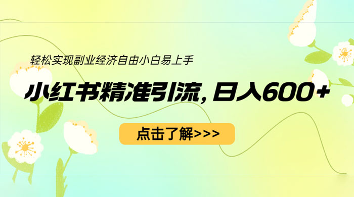 小红书精准引流：轻松实现副业经济自由（教程 + 1153G 资源） - 小萌资源网