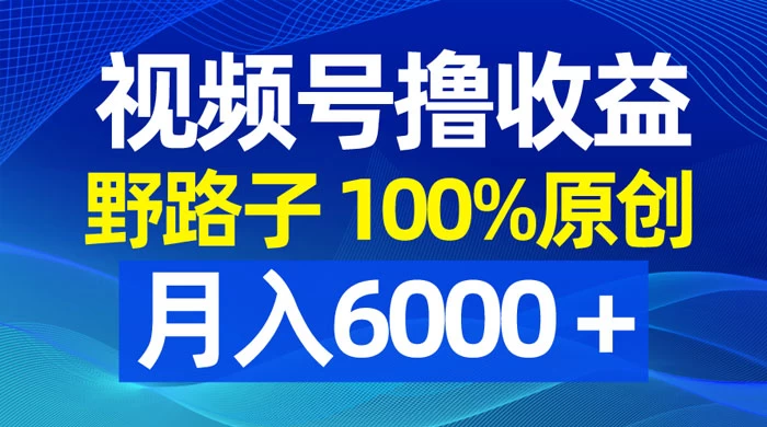 视频号野路子撸收益，100% 原创，条条爆款，月入 6000+ - 小萌资源网
