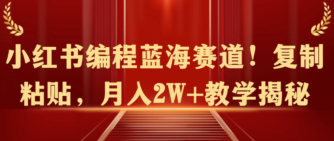 小红书编程蓝海赛道！复制粘贴，月入2W+教学揭秘 - 小萌资源网