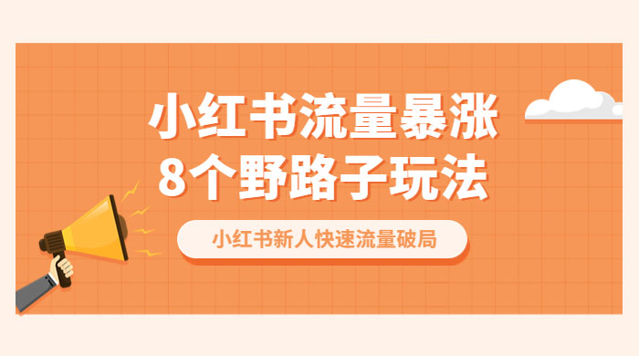 小红书流量暴涨 8 个野路子玩法：小红书新人快速流量破局（ 8 节课） - 小萌资源网