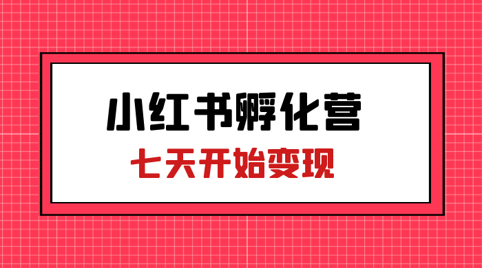 价值 2000+ 的小红书孵化营项目，超级大蓝海，七天即可开始变现，稳定月入 1W+ - 小萌资源网