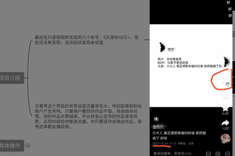 图片[2] - 最新抖音暴力文案号，五天涨粉 10w+，喂饭级拆解教学 - 小萌资源网