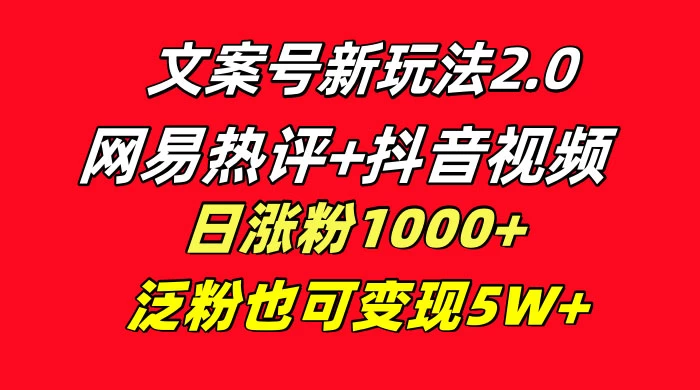 文案号新玩法，网易热评+抖音文案 一周轻松涨粉 5W+ 多种变现模式 - 小萌资源网
