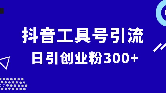 抖音工具号引流玩法，日引创业粉 300+ - 小萌资源网
