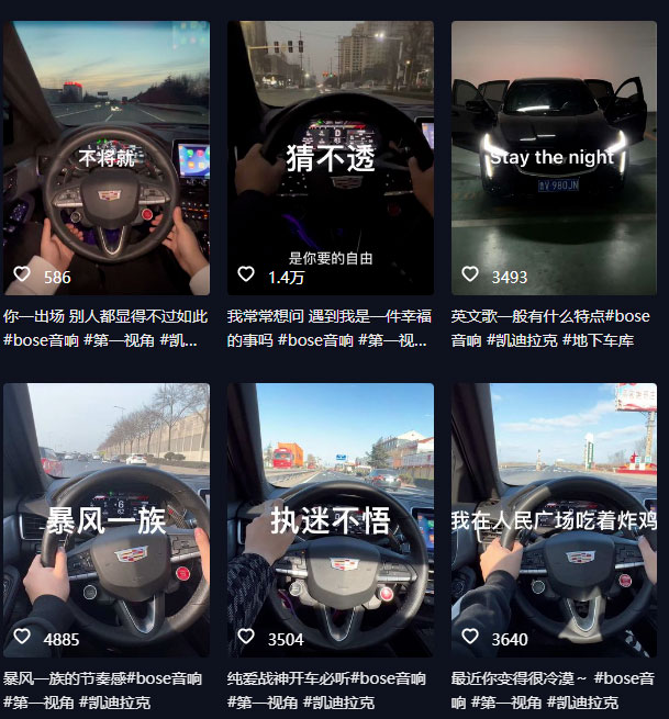图片[2] - 抖音开车视频项目：0基础操作，每天五分钟，月入过万 - 小萌资源网