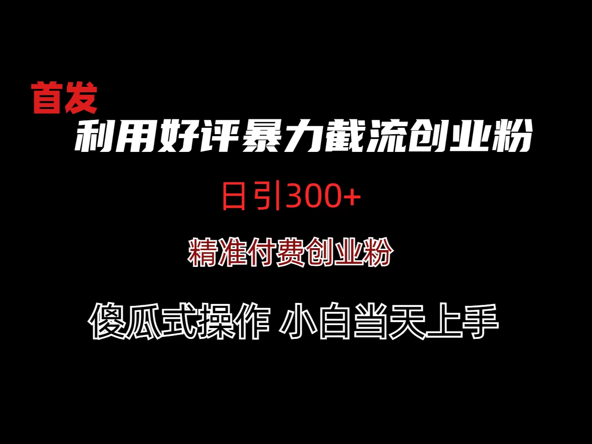 利用好评暴力截流付费创业粉，无需工具，简单且暴力的一个玩法 - 小萌资源网