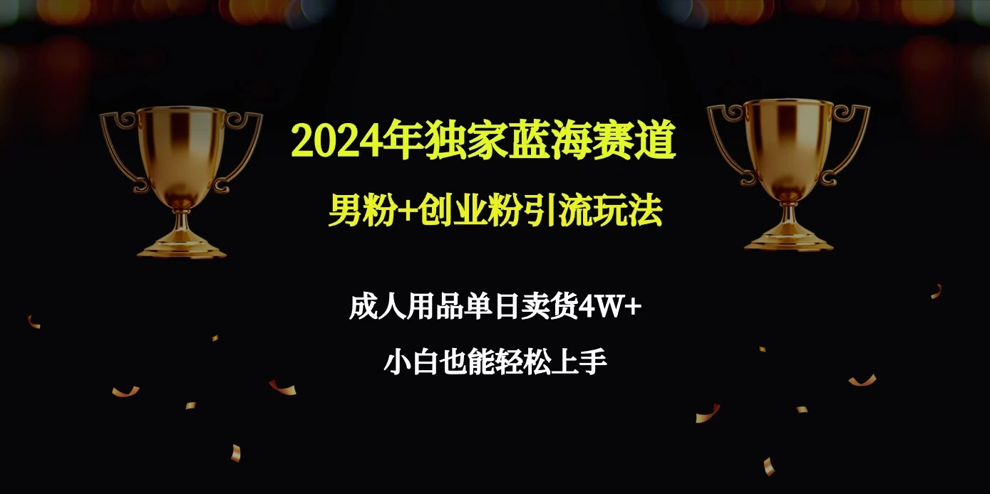 2024独家蓝海赛道，男粉＋创业粉引流玩法。 - 小萌资源网