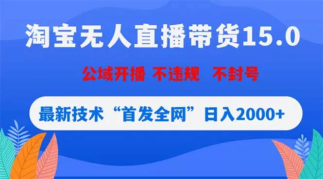 淘宝无人直播带货15.0，不封号，不违规，公域玩法，首发全网日入2000+ - 小萌资源网