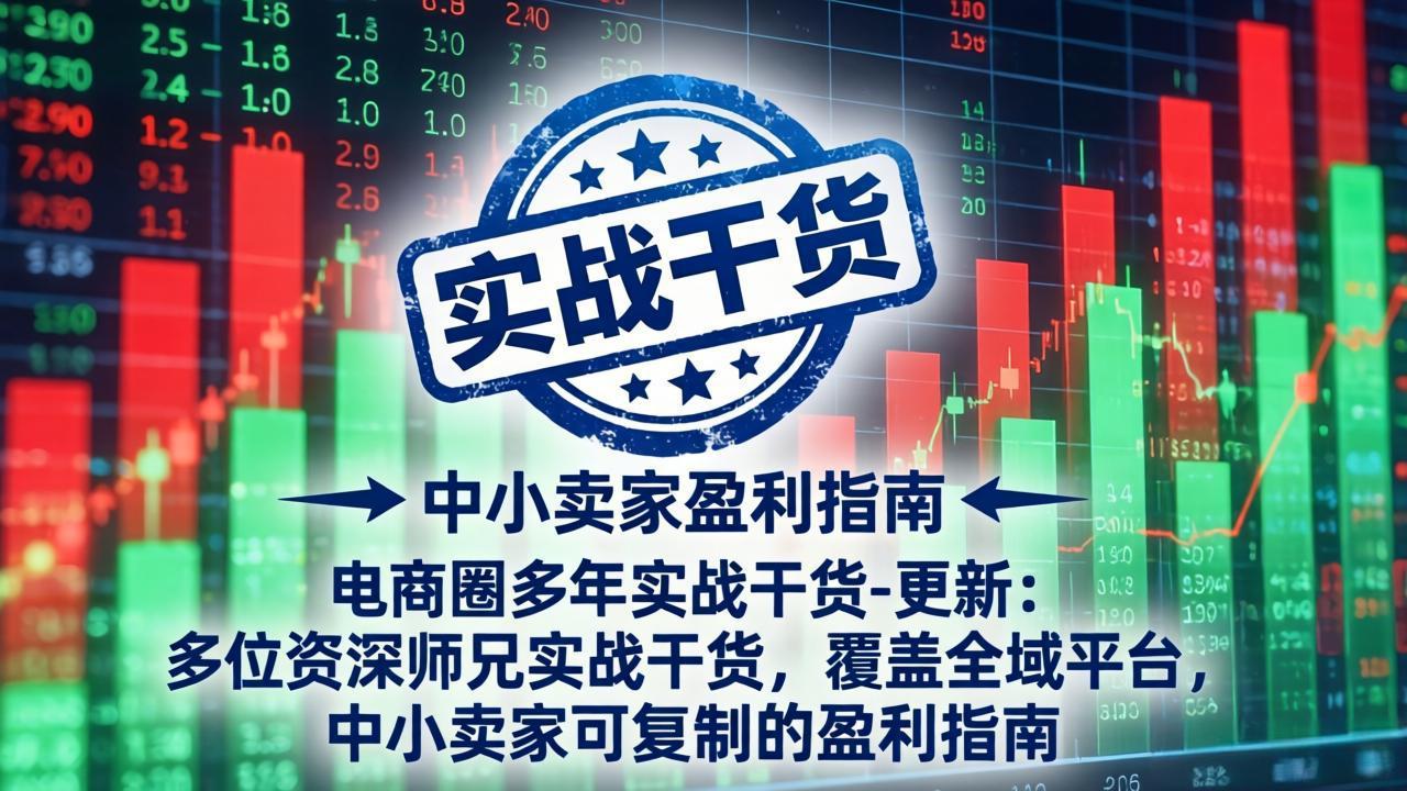 电商圈多年实战干货-更新4月27：多位资深师兄实战干货/覆盖全域平台，中小卖家可复制的盈利指南 - 小萌资源网