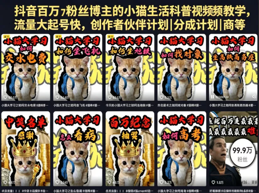抖音百万粉丝博主的小猫生活科普视频教学，流量大起号快，创作者伙伴计划|分成计划|商单|收徒等 - 小萌资源网
