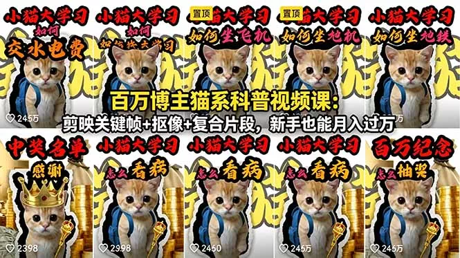 百万博主猫系科普视频课：剪映关键帧+抠像+复合片段，新手也能月入过万 - 小萌资源网